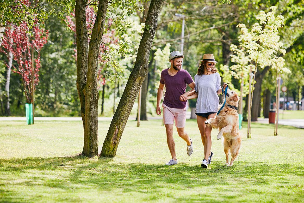 Dog-Walking-Park_1167x778_web